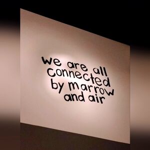 Meet your Posher, Saviola